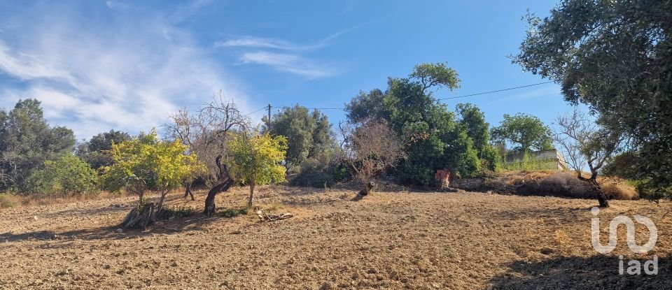 Block of flats in Santa Bárbara de Nexe of 175 m²