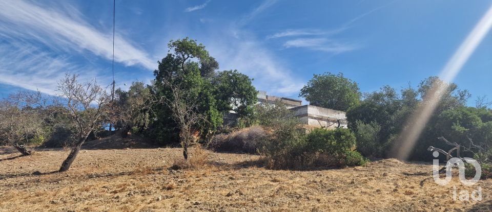 Block of flats in Santa Bárbara de Nexe of 175 m²