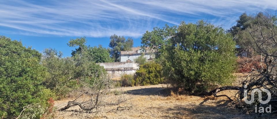 Block of flats in Santa Bárbara de Nexe of 175 m²