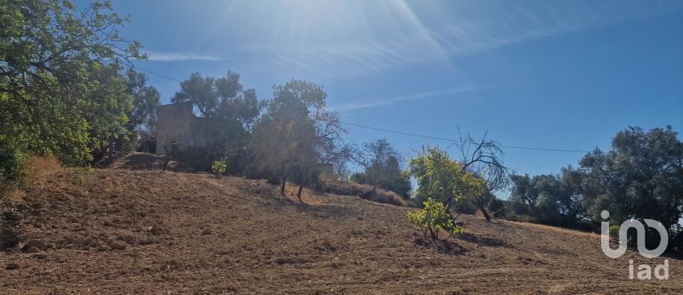Block of flats in Santa Bárbara de Nexe of 175 m²