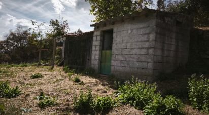 Terrain à Santa Ovaia e Vila Pouca da Beira de 1 300 m²