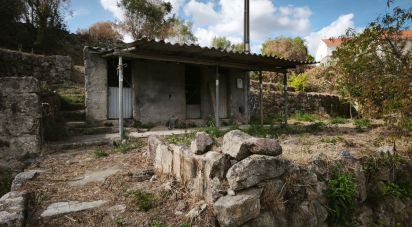 Terrain à Santa Ovaia e Vila Pouca da Beira de 1 300 m²