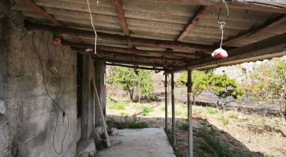 Terrain à Santa Ovaia e Vila Pouca da Beira de 1 300 m²