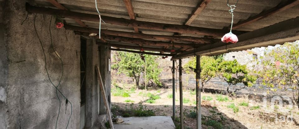 Terrain à Santa Ovaia e Vila Pouca da Beira de 1 300 m²