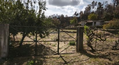 Terrain à Santa Ovaia e Vila Pouca da Beira de 1 300 m²