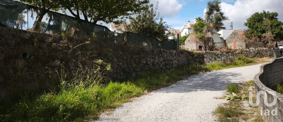 Terrain à Santa Ovaia e Vila Pouca da Beira de 1 300 m²