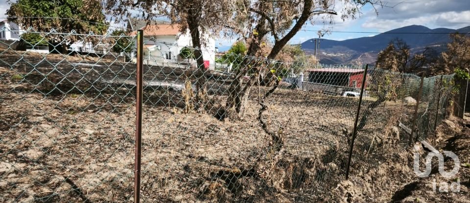 Terrain à Santa Ovaia e Vila Pouca da Beira de 1 300 m²