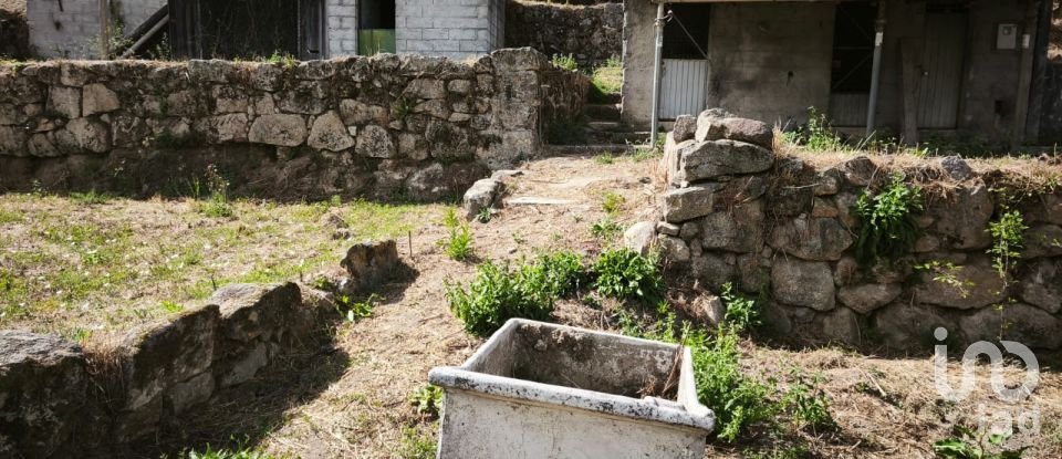 Terrain à Santa Ovaia e Vila Pouca da Beira de 1 300 m²