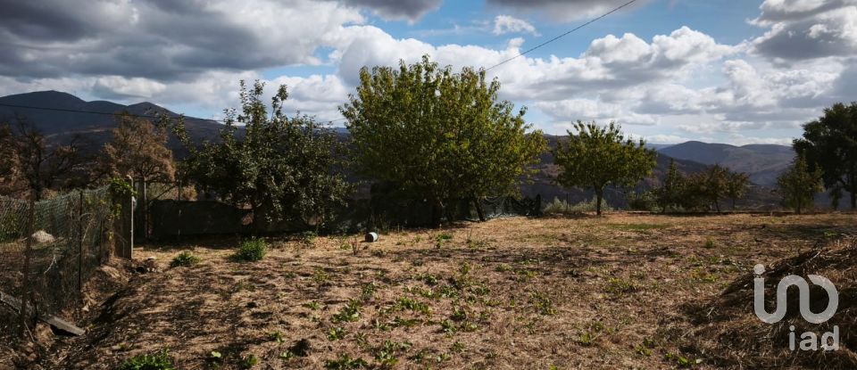 Terrain à Santa Ovaia e Vila Pouca da Beira de 1 300 m²