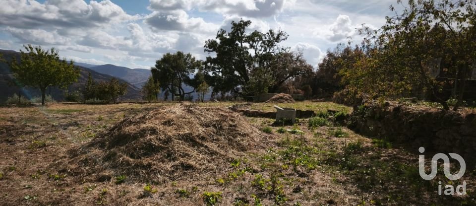 Terrain à Santa Ovaia e Vila Pouca da Beira de 1 300 m²