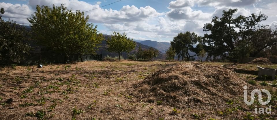 Terrain à Santa Ovaia e Vila Pouca da Beira de 1 300 m²