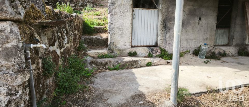 Terrain à Santa Ovaia e Vila Pouca da Beira de 1 300 m²