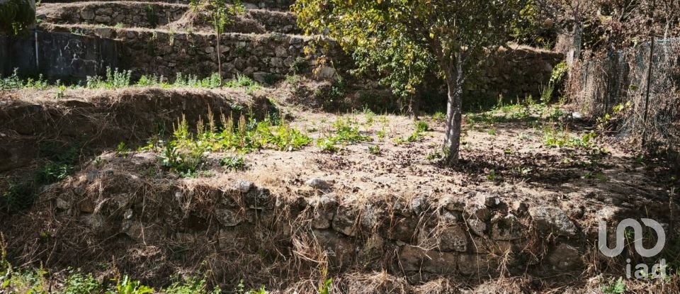 Terrain à Santa Ovaia e Vila Pouca da Beira de 1 300 m²