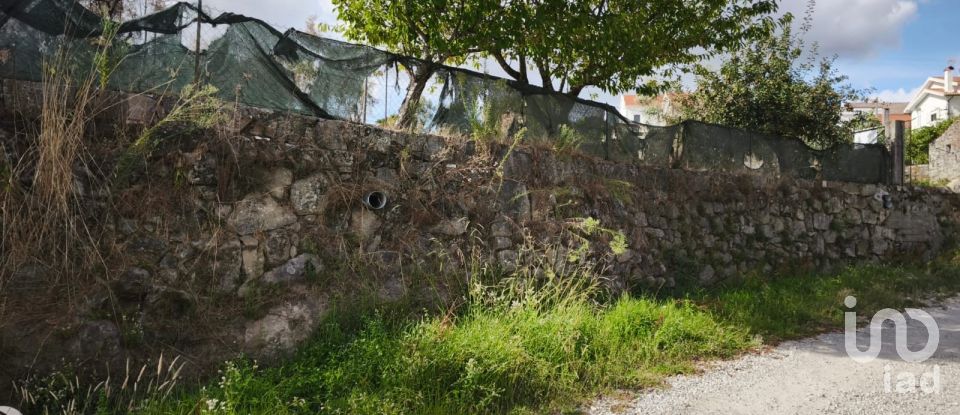 Terrain à Santa Ovaia e Vila Pouca da Beira de 1 300 m²