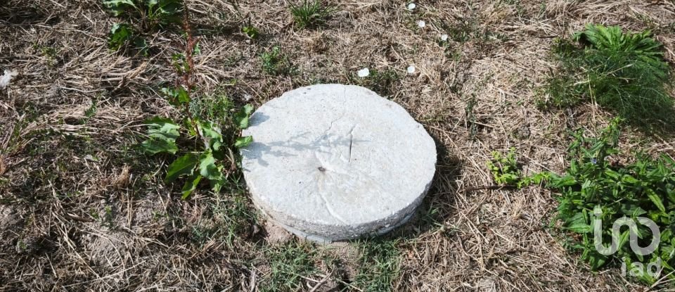 Terrain à Santa Ovaia e Vila Pouca da Beira de 1 300 m²