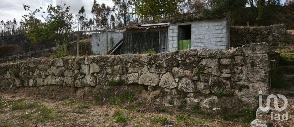 Terrain à Santa Ovaia e Vila Pouca da Beira de 1 300 m²