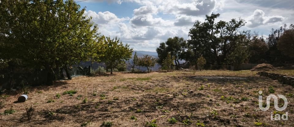 Terrain à Santa Ovaia e Vila Pouca da Beira de 1 300 m²