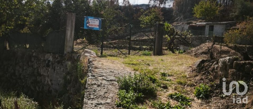 Terrain à Santa Ovaia e Vila Pouca da Beira de 1 300 m²