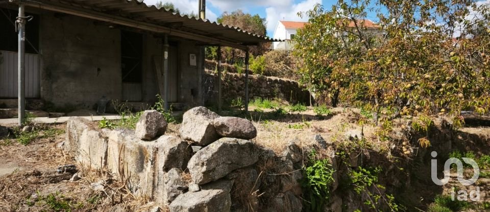 Terrain à Santa Ovaia e Vila Pouca da Beira de 1 300 m²