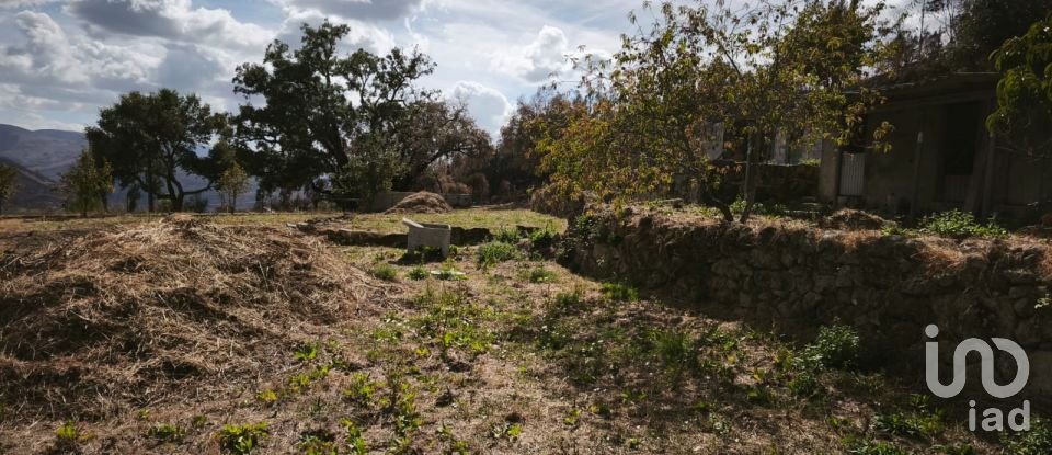 Terrain à Santa Ovaia e Vila Pouca da Beira de 1 300 m²