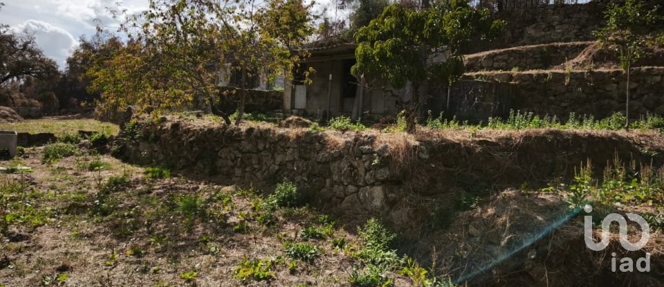 Terrain à Santa Ovaia e Vila Pouca da Beira de 1 300 m²