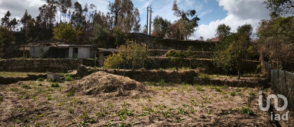 Terrain à Santa Ovaia e Vila Pouca da Beira de 1 300 m²