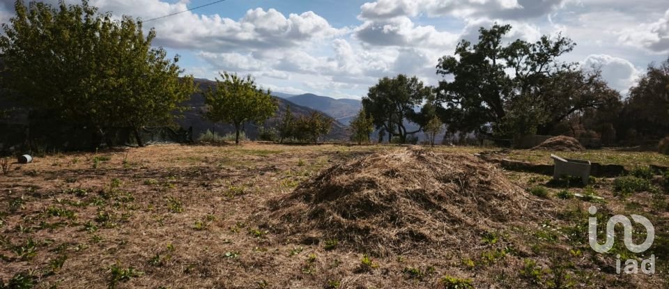 Terrain à Santa Ovaia e Vila Pouca da Beira de 1 300 m²