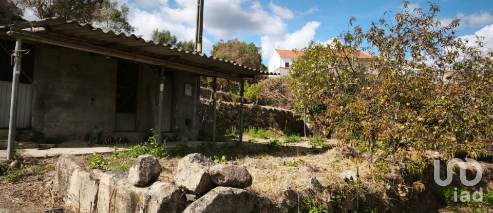Terrain à Santa Ovaia e Vila Pouca da Beira de 1 300 m²