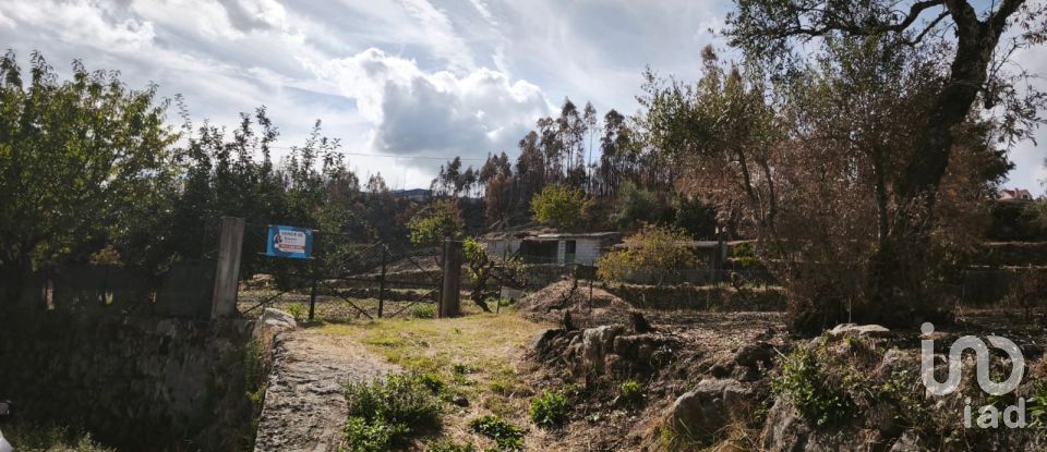Terrain à Santa Ovaia e Vila Pouca da Beira de 1 300 m²