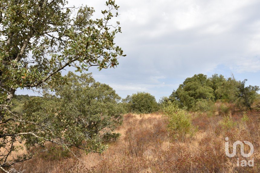 Terrain à Areias e Pias de 5 640 m²