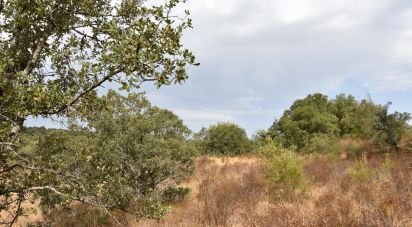 Terrain à Areias e Pias de 5 640 m²