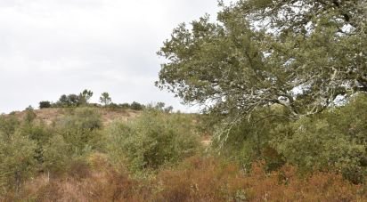 Terrain à Areias e Pias de 5 640 m²