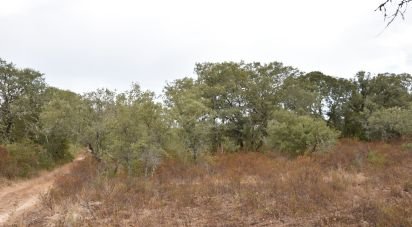 Terrain à Areias e Pias de 5 640 m²