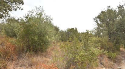 Terrain à Areias e Pias de 5 640 m²