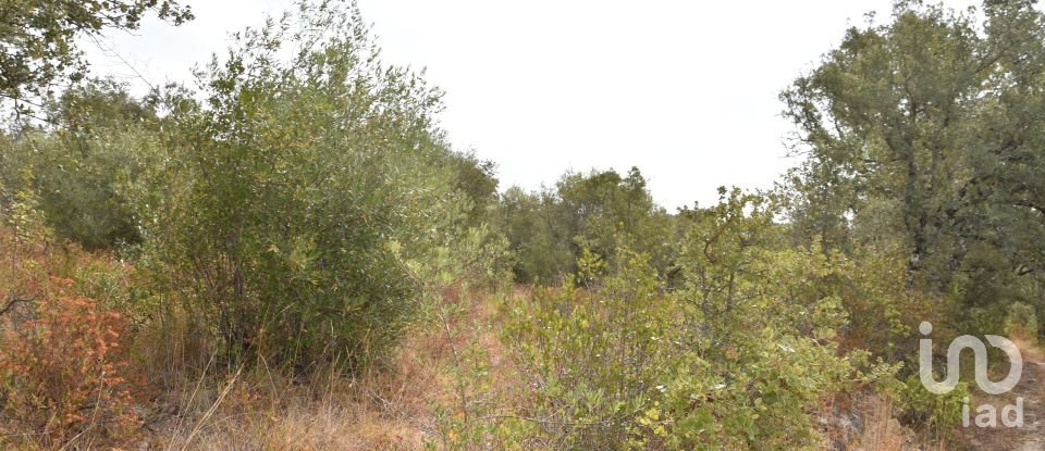 Terrain à Areias e Pias de 5 640 m²