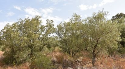 Terrain à Areias e Pias de 5 640 m²