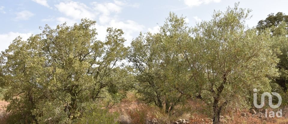 Terrain à Areias e Pias de 5 640 m²