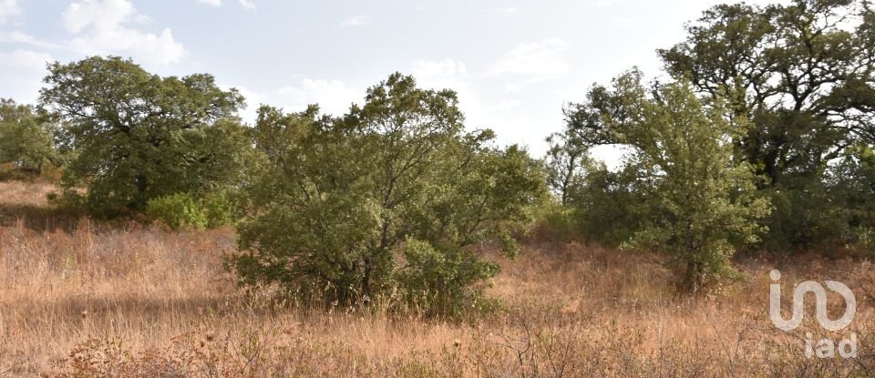 Terrain à Areias e Pias de 5 640 m²