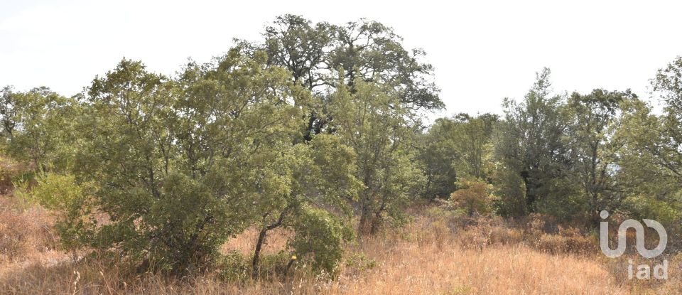 Terrain à Areias e Pias de 5 640 m²