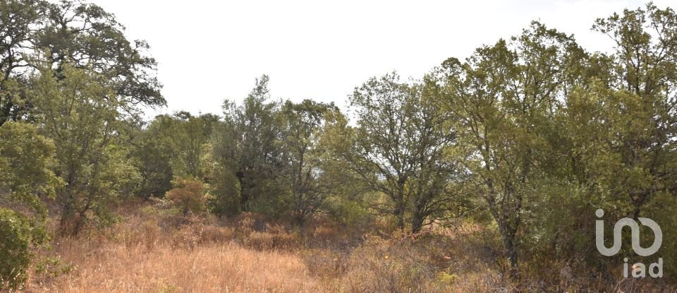 Terrain à Areias e Pias de 5 640 m²