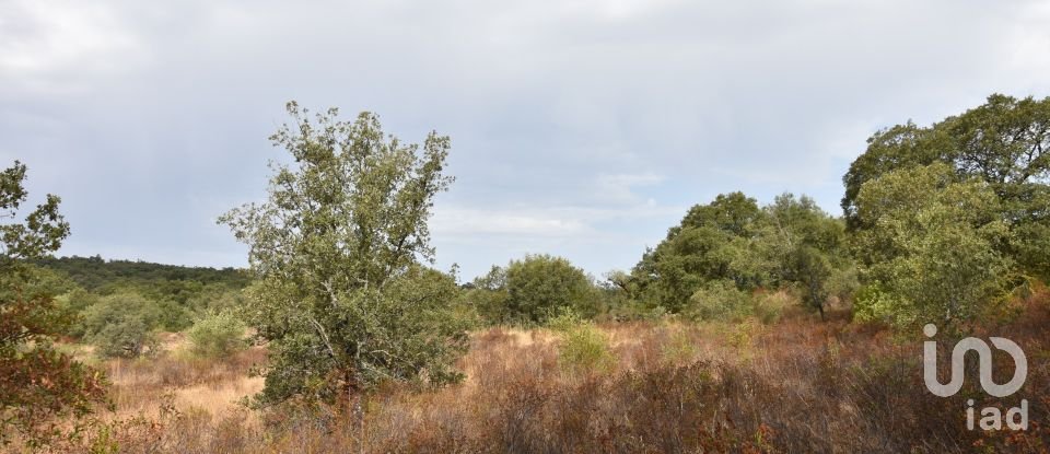 Terrain à Areias e Pias de 5 640 m²