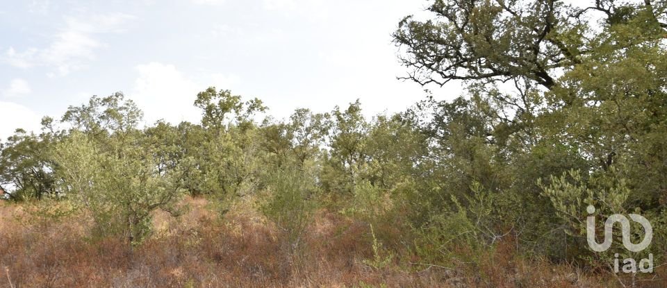 Terrain à Areias e Pias de 5 640 m²