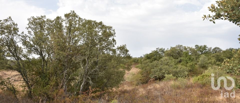 Terrain à Areias e Pias de 5 640 m²