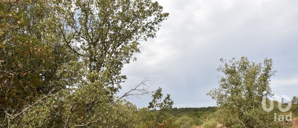 Terrain à Areias e Pias de 5 640 m²