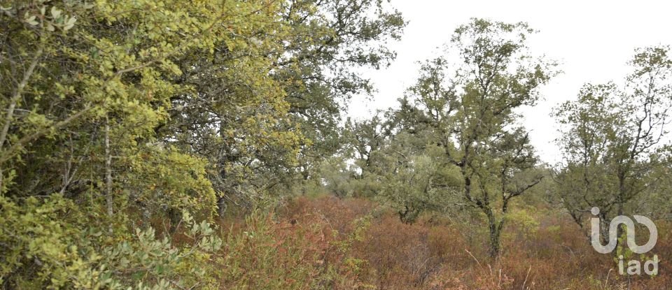 Terrain à Areias e Pias de 5 640 m²