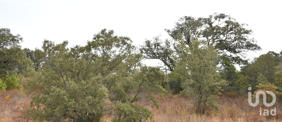 Terrain à Areias e Pias de 5 640 m²