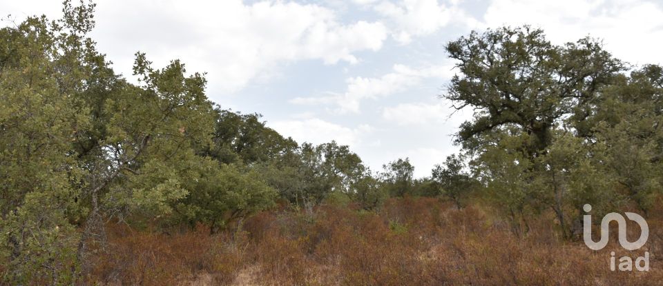 Terrain à Areias e Pias de 5 640 m²