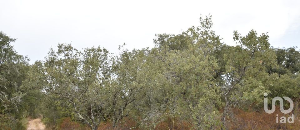 Terrain à Areias e Pias de 5 640 m²