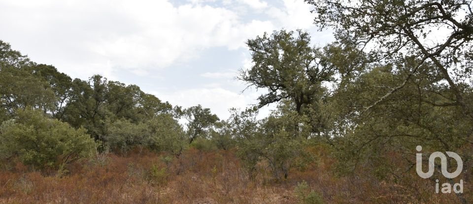 Terrain à Areias e Pias de 5 640 m²