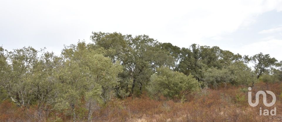 Terrain à Areias e Pias de 5 640 m²